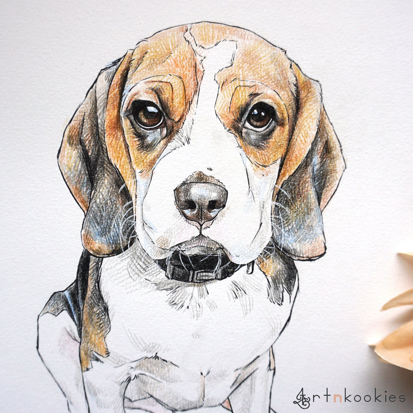 Ink and Colour Pencil Pet Portrait