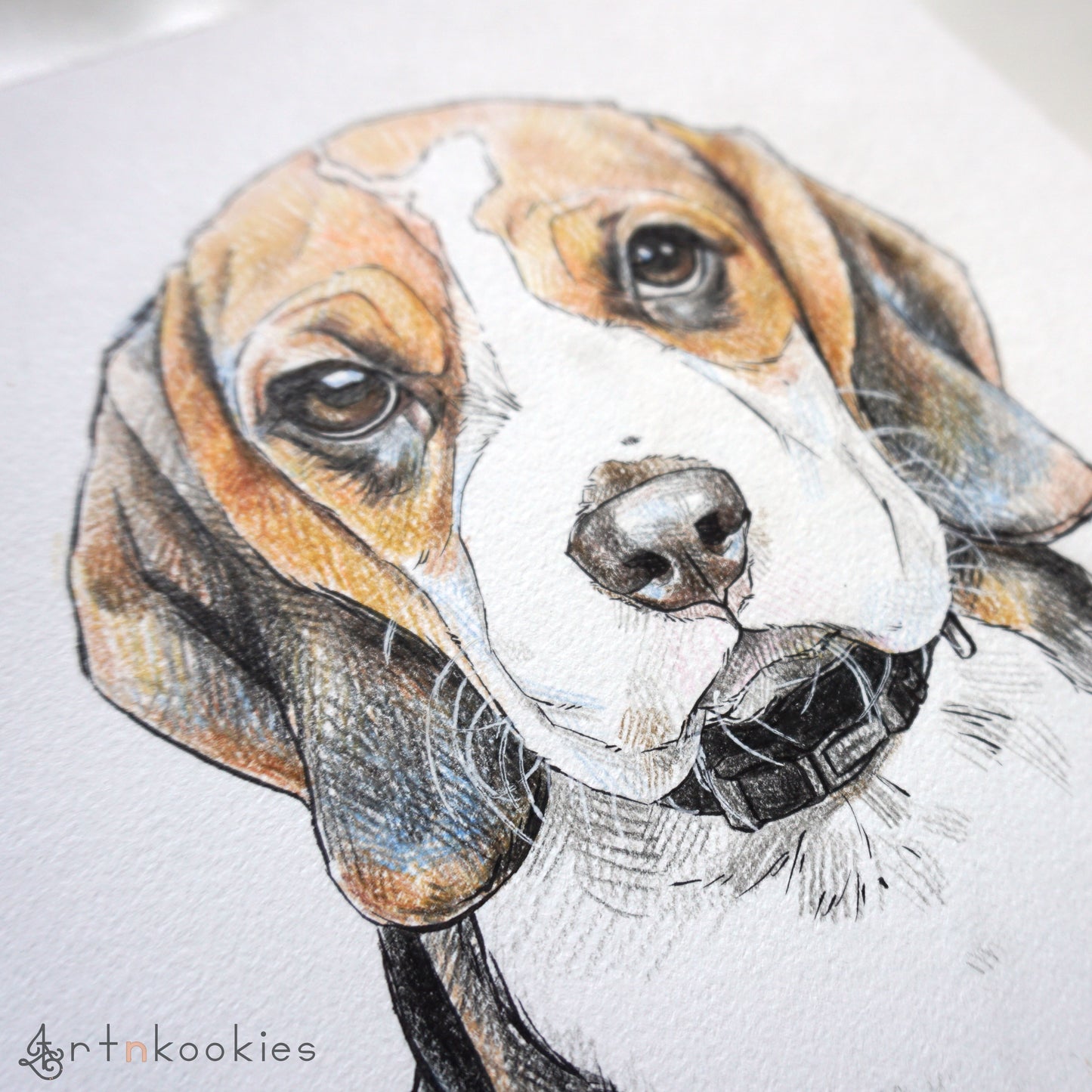 Ink and Colour Pencil Pet Portrait