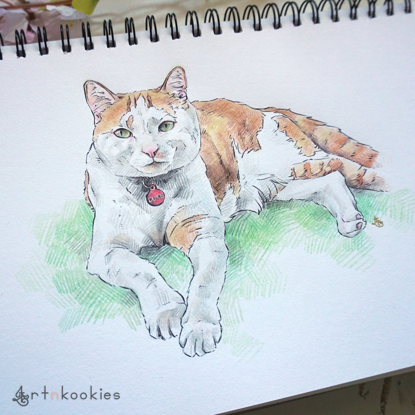 Ink and Colour Pencil Pet Portrait