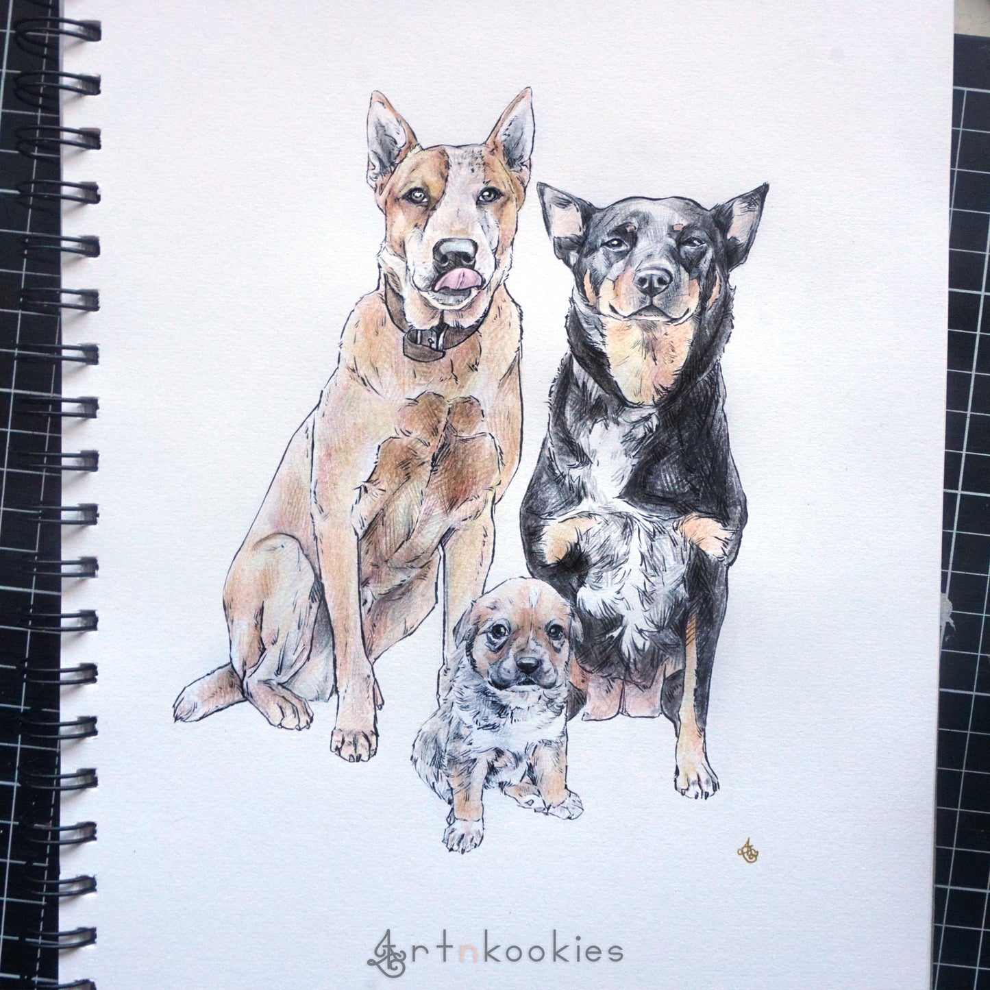 Ink and Colour Pencil Pet Portrait