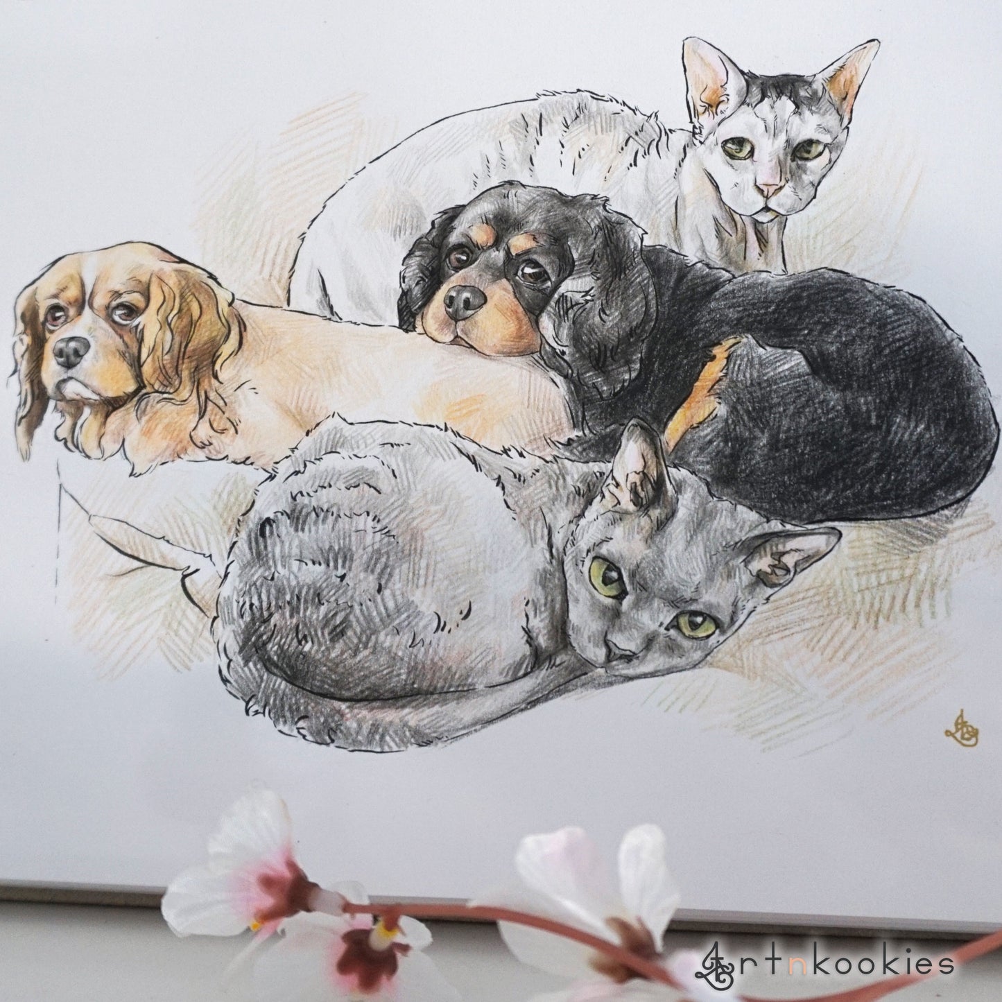 Ink and Colour Pencil Pet Portrait