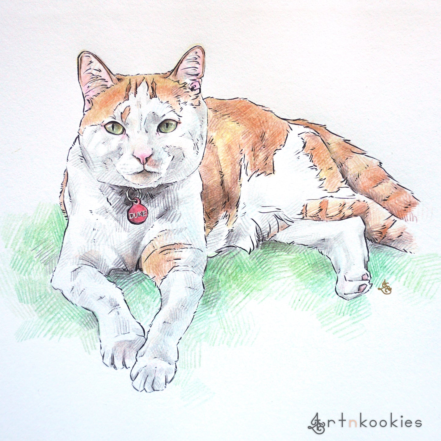 Ink and Colour Pencil Pet Portrait