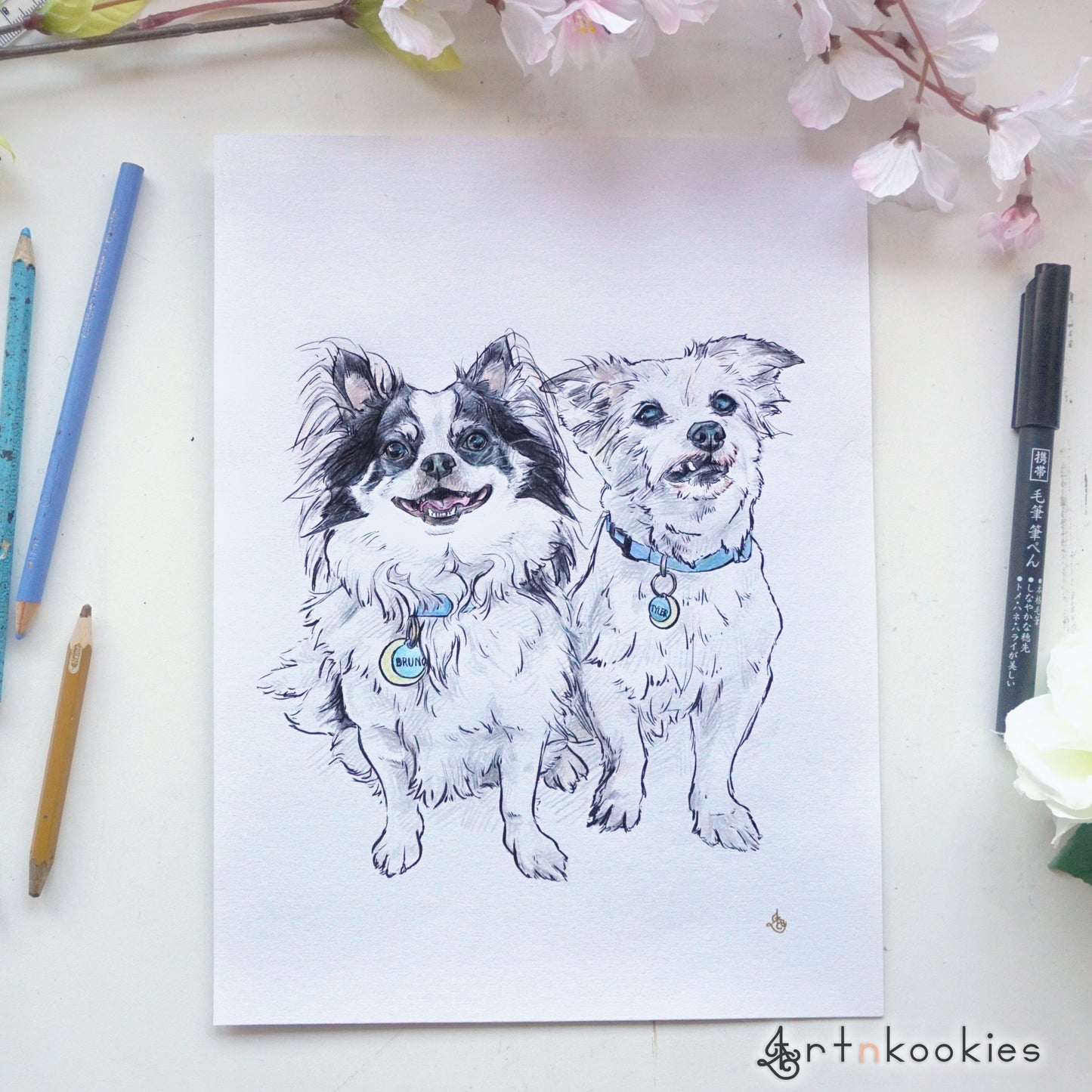 Ink and Colour Pencil Pet Portrait