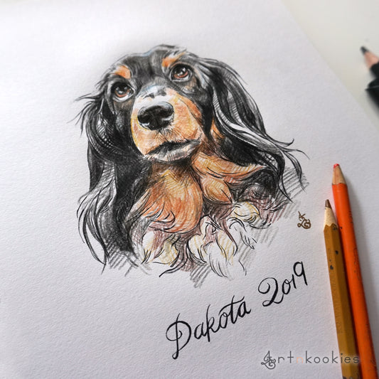 Ink and Colour Pencil Pet Portrait